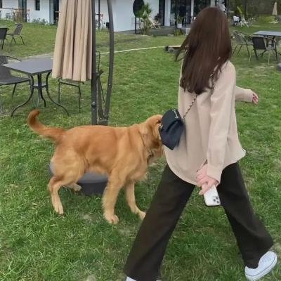 罗小黑战记